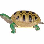Turtle Squishimals(18)