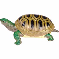 Turtle Squishimals(18)