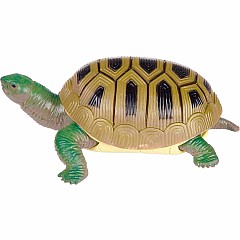 Turtle Squishimals (Assorted)