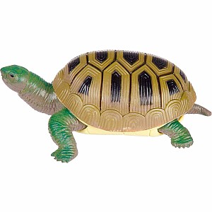 Turtle Squishimals (Assorted)