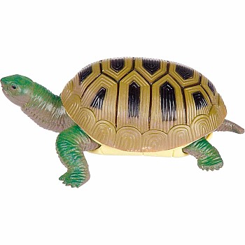 Turtle Squishimals