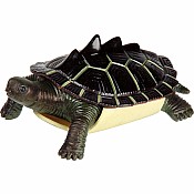Turtle Squishimals (Assorted)