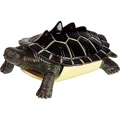 Turtle Squishimals (Assorted)