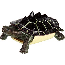 Turtle Squishimals