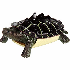 Turtle Squishimals (Assorted)