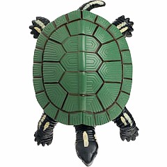 Turtle Squishimals (Assorted)