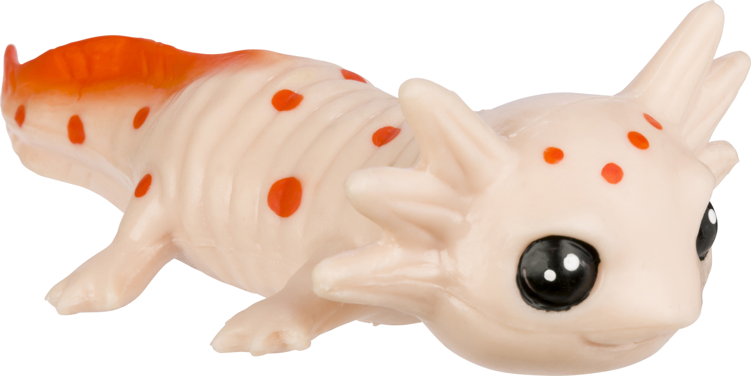 Aquoddities Squishimals (18)