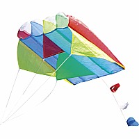 Parafoil Kite (12)