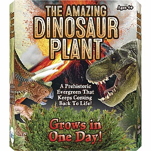 The Amazing Dinosaur Plant