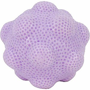 Sugar Skwisheez Noods - Cotton Candy Ball (assorted)