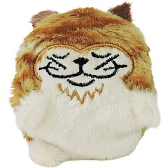 Sugar Skwisheez Home Bodies (assorted)