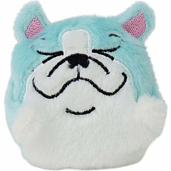 Sugar Skwisheez Home Bodies (assorted)