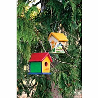 Paint A Birdhouse