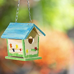 Build A Bird Bungalow