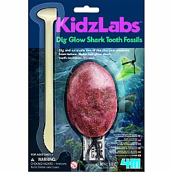 DIG GLOW SHARK TOOTH FOSSILS