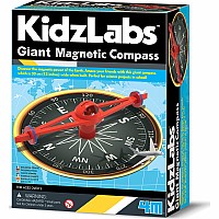 Giant Magnetic Compass (6)