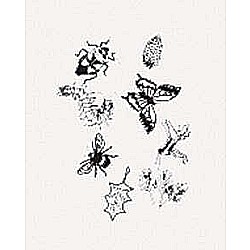 Solar Print Kit(8)