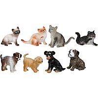 Puppies And Kitties (72)