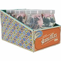 Tiny Toys Itty Bitty Axolittles