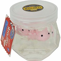 Tiny Toys Itty Bitty Axolittles