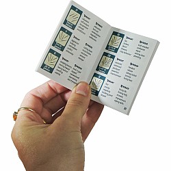 Tiny Toys Teeny Tiny Tarot Deck