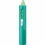 Bathtime Crayons (12)