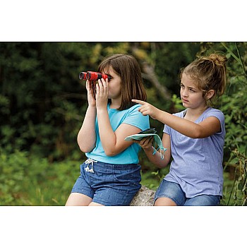 Beetle & Bee Little Birder Set