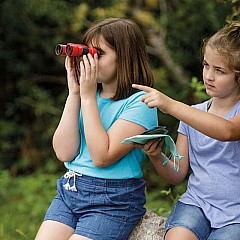 Beetle & Bee Little Birder Set