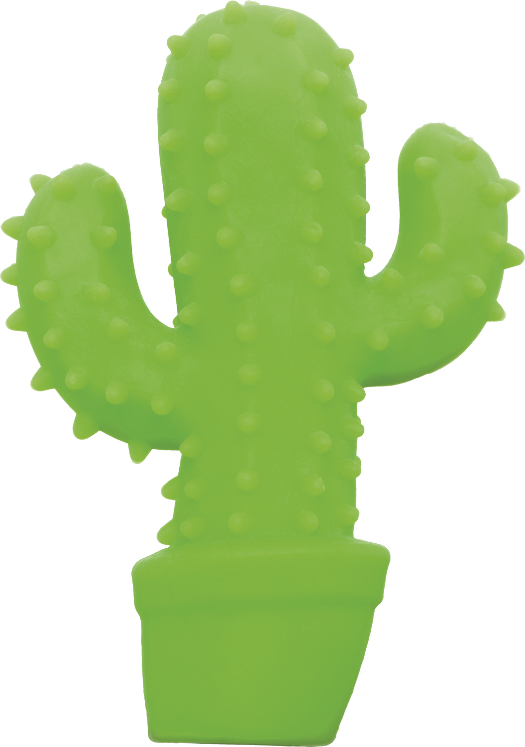 plan toys cactus