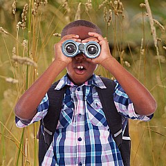Field Binoculars