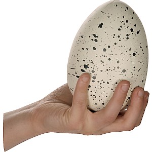 Ginormous Grow Dino Egg