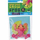 Ginormous Grow Frog (24)