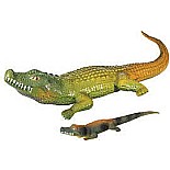 Ginormous Grow Crocodile (Assorted)
