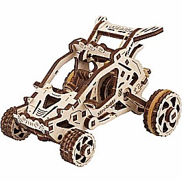 Desert buggy