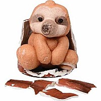 Hide N' Seek Growing Sloth