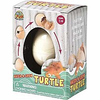 Hatch 'N Grow Turtle