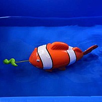 Pull String Clown Fish Bath Toy