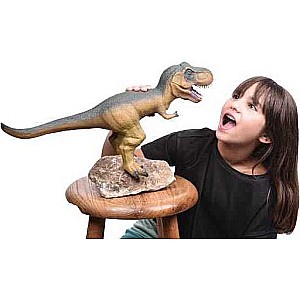 Ginormous T-REX (Set of 4)