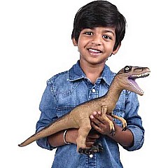 Ginormous Velociraptor (Set of 4)