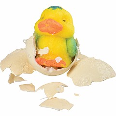 Hatch 'n Grow Duck