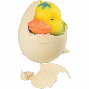 Hatch 'n Grow Duck