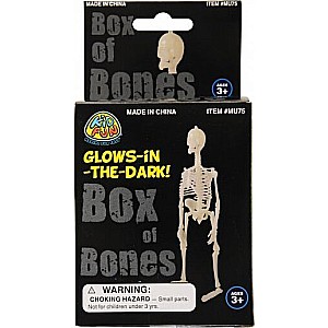 Glow in the Dark Skeleton Box of Bones