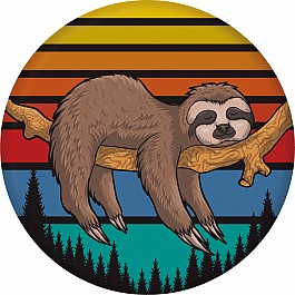 Wingman Disc - Sloth