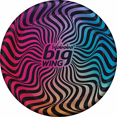 Big Wing Flying Disc (assorted styles)