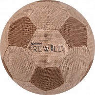 Eco-Friendly Soccer Ball