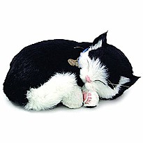 Perfect Petzzz Black and White Shorthair Kitten Plush