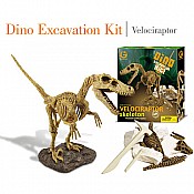 Dino Excavation Kit Velociraptor Skeleton