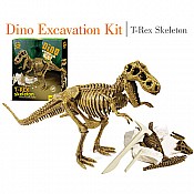 Dino Excavation Kit T-rex Skeleton