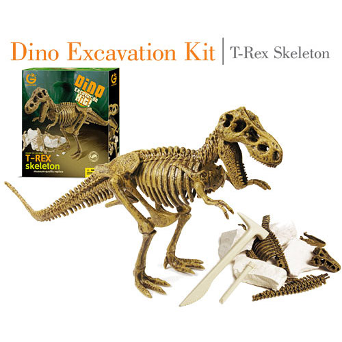 Grafix DINO EXCAVATION KIT scavo dinosauri FOSSILI scava il tuo scheletro T-REX 