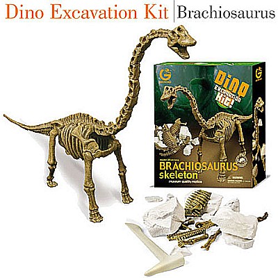 Dino Excavation Kit Brachiosaurus Skeleton
